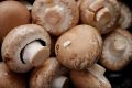 Как приготовить шампиньоны на мангале: оригинальные способы получения вкуснейшего блюда