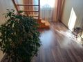 Как обустроить домашнюю «зеленую» оазис при минимальных затратах
