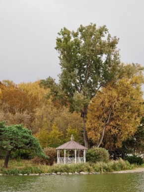 Осень в городском парке Южно-Сахалинска