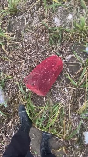 Мешок с молодью гребешка обнаружили на курильском побережье