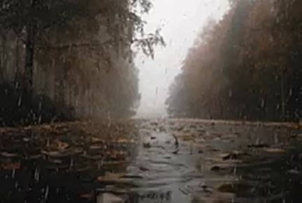 Ливень со снегом и ураганный ветер
