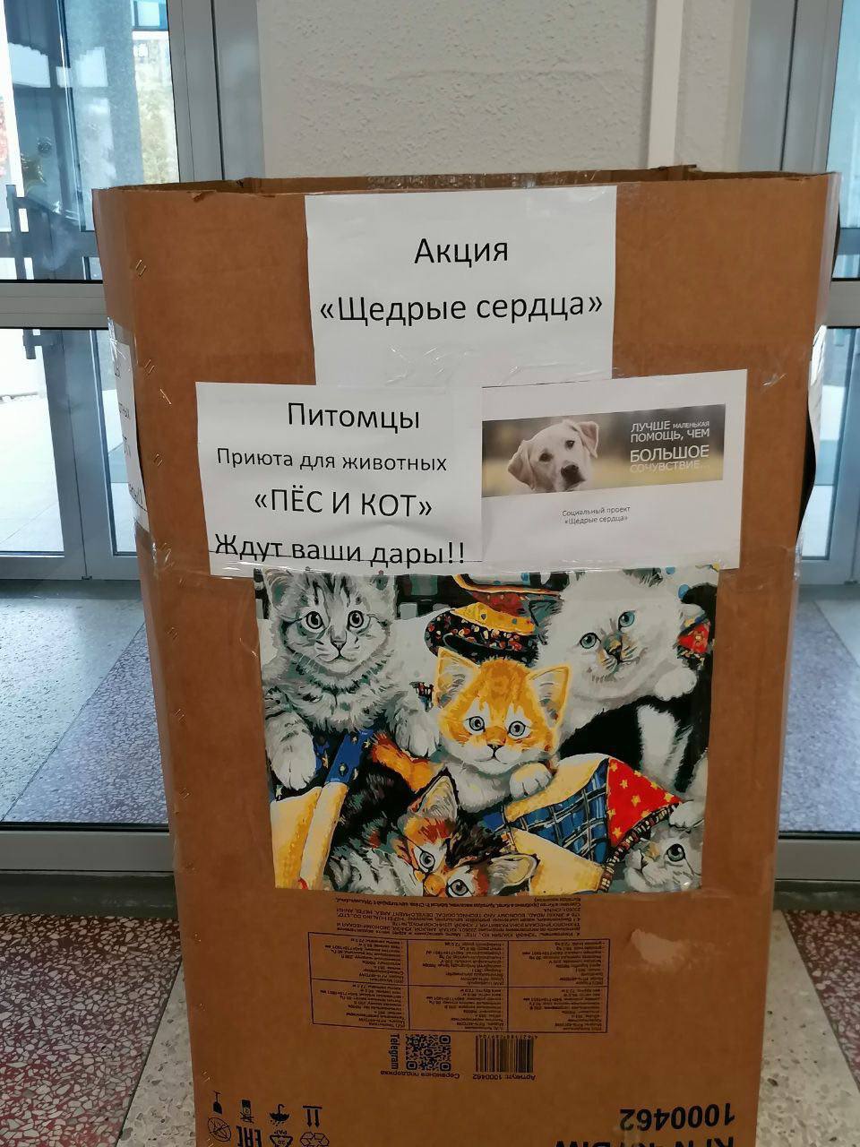 В средней общеобразовательной школе № 8 имени генерал-лейтенанта В. Г. Асапова состоялась ежегодная акция под названием «Пес и Кот»