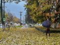 Доброе утро, Южно-Сахалинск!