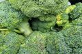 Топ-7 продуктов, которые помогут укрепить суставы и хрящи