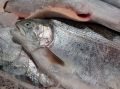 Лосось не по карману? Пора узнать 2 секретных продукта с омега-3 за копейки