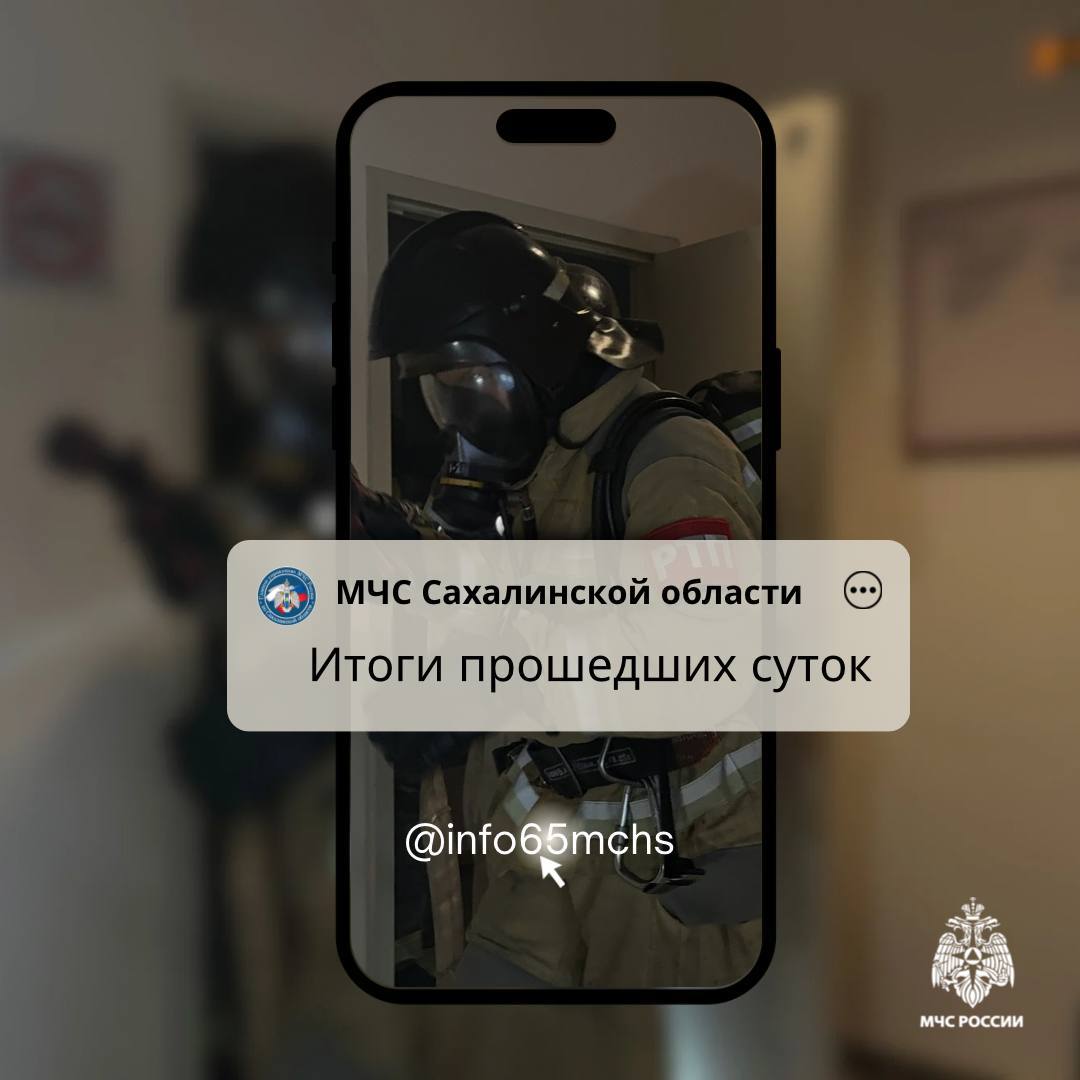 В Сахалинской области за прошедшие сутки