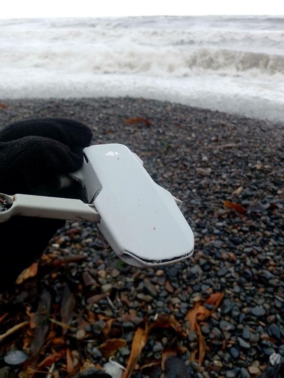 Сахалинские дары моря умеют удивлять Сахалинские дары моря умеют удивлять