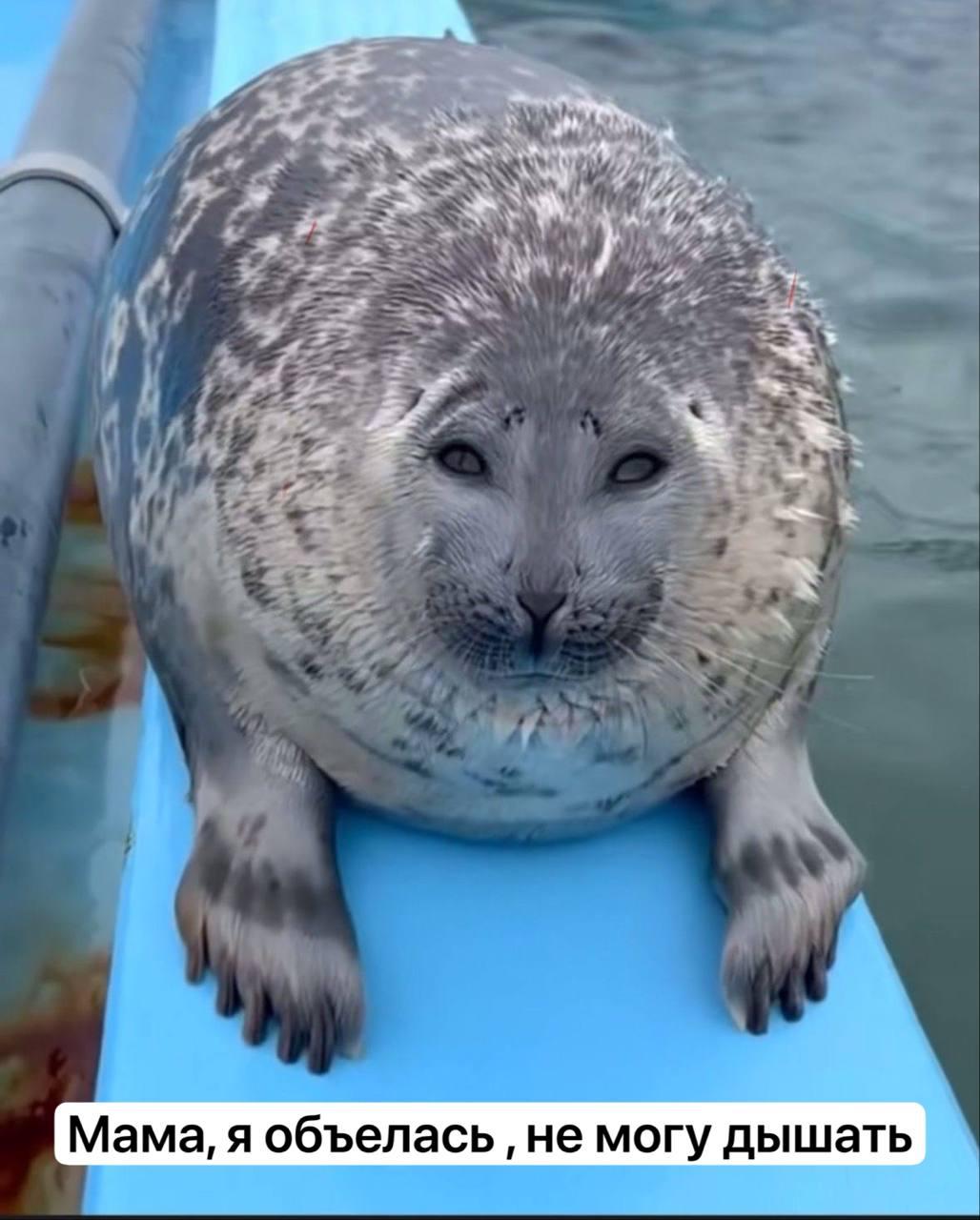 Единого и идеального расписания приема пищи для всех не существует, но средняя рекомендация — есть 3-5 раз в день, включая перекусы