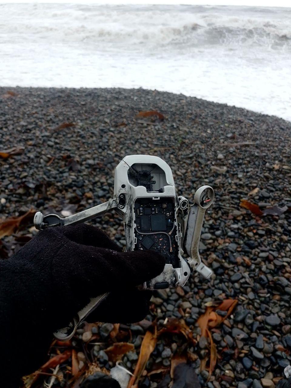 Сахалинские дары моря умеют удивлять Сахалинские дары моря умеют удивлять