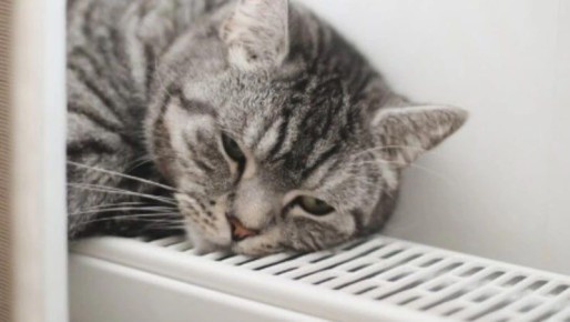 Сотни жителей Южно-Сахалинска останутся без горячей воды и тепла 30 октября