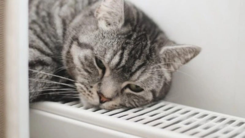 Сотни жителей Южно-Сахалинска останутся без горячей воды и тепла 30 октября