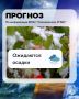 Желаем хорошего дня. Прогноз погоды на сегодня Северные и центральные районы