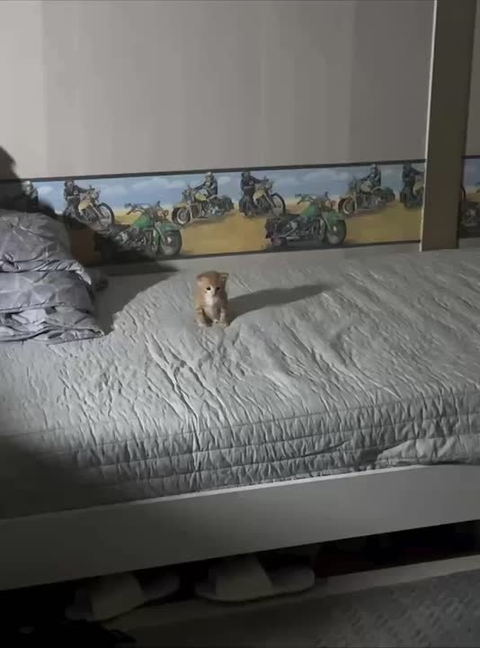 Доброе утро. 29 октября – День отшельника