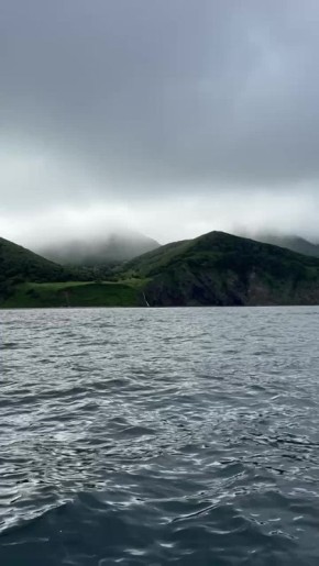  ..      -  ,    -,   .  . 