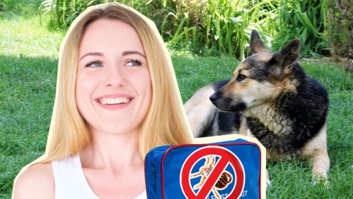 Аптечный пузырек избавит от нашествия клещей: стоит сущие копейки