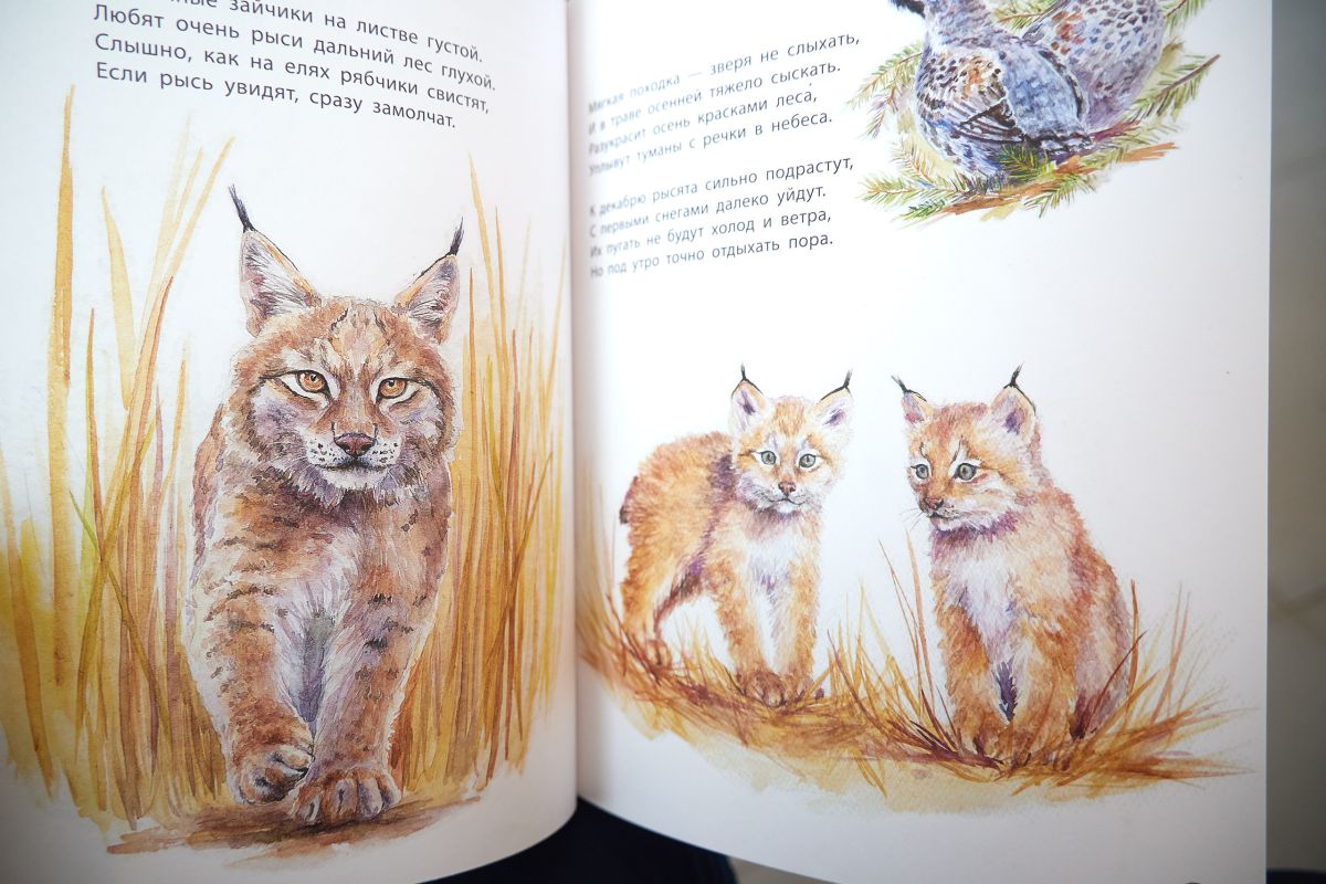 Дмитрий Шульман презентовал свою книгу в Южно-Сахалинске Дмитрий Шульман презентовал свою книгу в Южно-Сахалинске