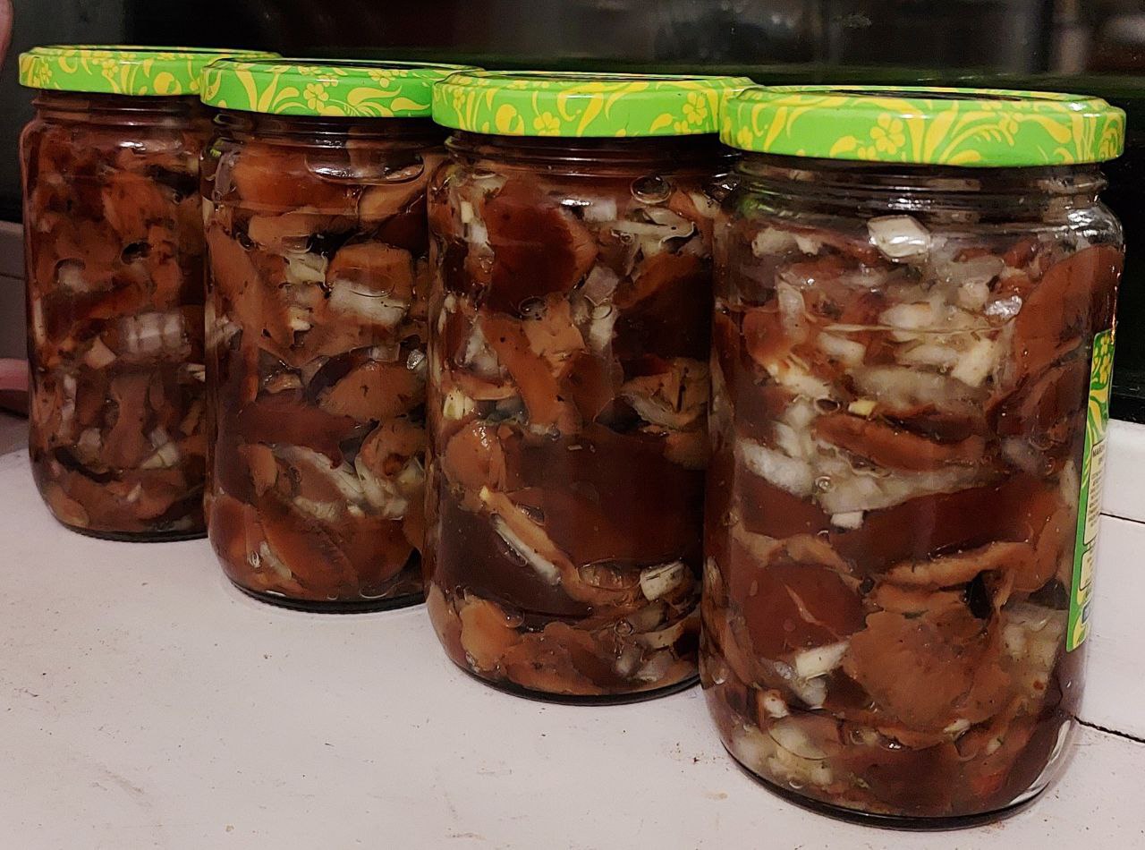 Грибной сезон с первым снегом на Сахалине не заканчивается Грибной сезон с первым снегом на Сахалине не заканчивается