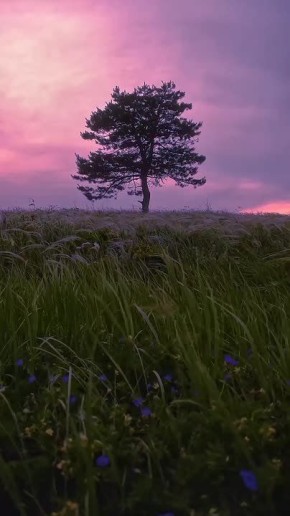 Доброе утро!. Сегодня День тренера В этот день родились русский писатель Пётр Гнедич (1855 — 1925), лётчик-космонавт РФ, Герой России Александр Полещук (1953) аргентинский футболист и тренер Диего Марадона (1960 — 2020)...