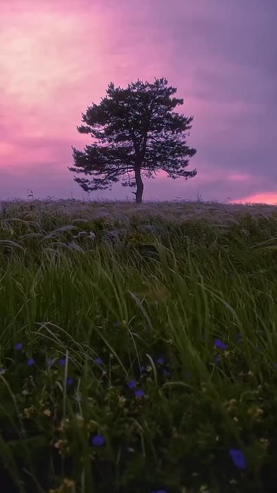 Доброе утро!. Сегодня День тренера В этот день родились русский писатель Пётр Гнедич (1855 — 1925), лётчик-космонавт РФ, Герой России Александр Полещук (1953) аргентинский футболист и тренер Диего Марадона (1960 — 2020)...