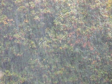 Ливень и ураганный ветер накроют Курилы