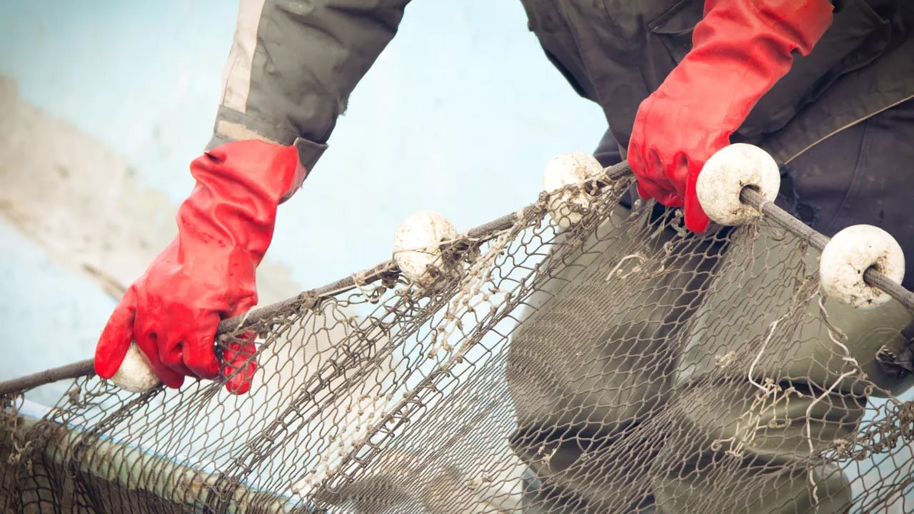 Случаи незаконного лова зафиксировали в Поронайском и Тымовском районах