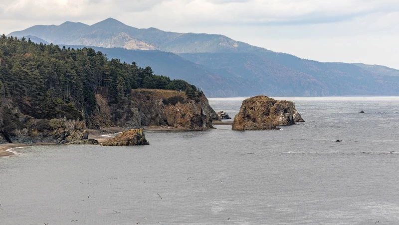 Подготовку к благоустройству начали на мысе Великан на Сахалине