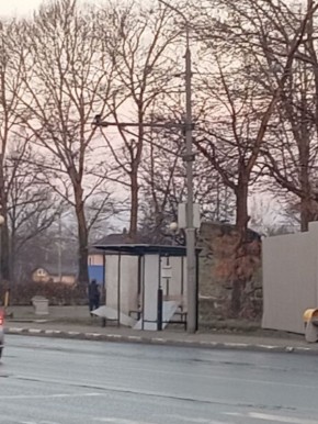 Не пережил ночь на 31 октября автобусный павильон в Южно-Сахалинске