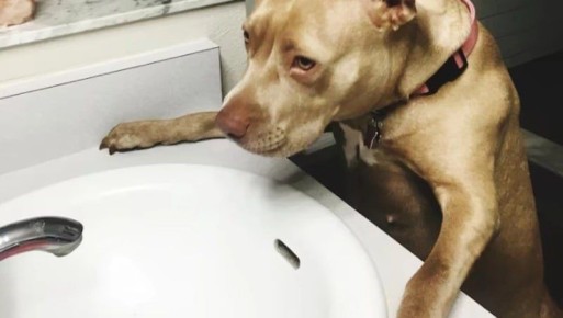 Повреждение водопровода оставит четыре улицы Южно-Сахалинска без воды 31 октября