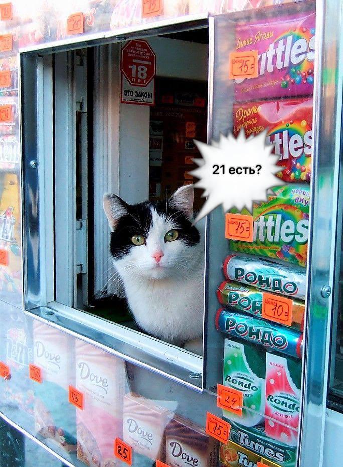 18 vs. 21?. Пару дней назад в СМИ и соцсетях появилась информация, что якобы алкоголь в России хотят продавать только с 21 года