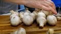 Невероятное сочетание: Как просто приготовить картошку с грибами на новом уровне