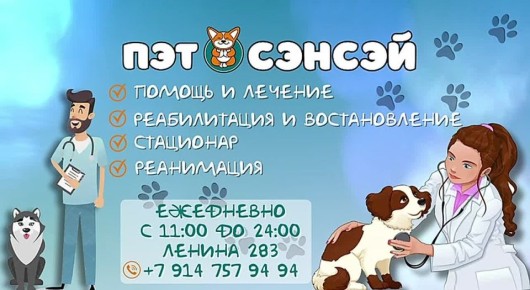 Ветеринарная клиника «Пэт Сэнсэй»