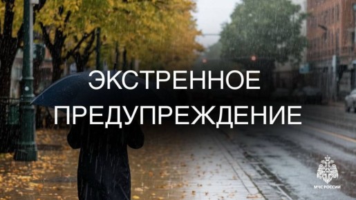 Сильные осадки и усиление ветра на побережье прогнозируются в Долинском и Корсаковском районах