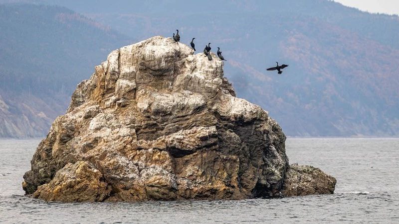 Подготовку к благоустройству начали на мысе Великан на Сахалине Подготовку к благоустройству начали на мысе Великан на Сахалине
