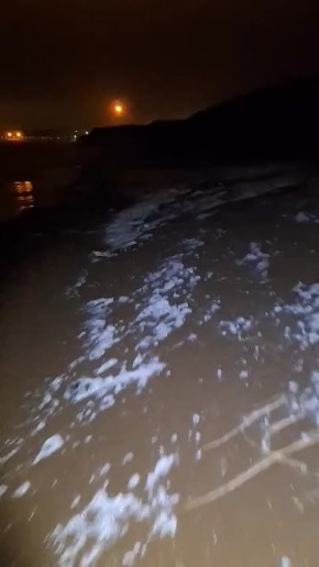 «Сидите лучше дома»: сахалинец поделился откровением после поиска гребешка в дождь