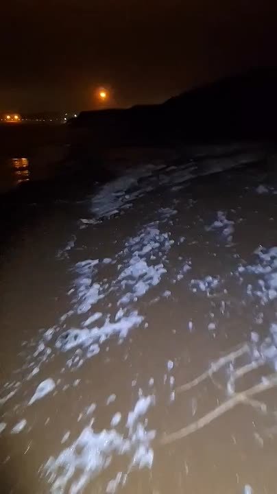 «Сидите лучше дома»: сахалинец поделился откровением после поиска гребешка в дождь