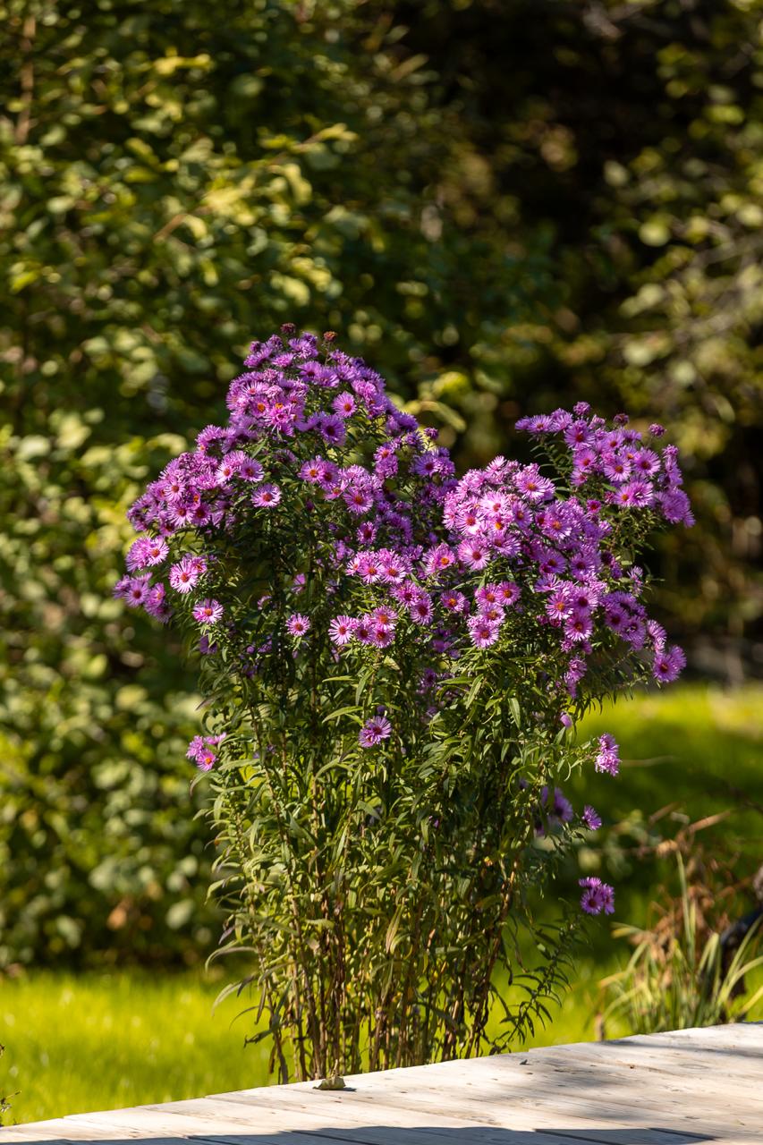 Завершайте октябрь в красках осени! Завершайте октябрь в красках осени!