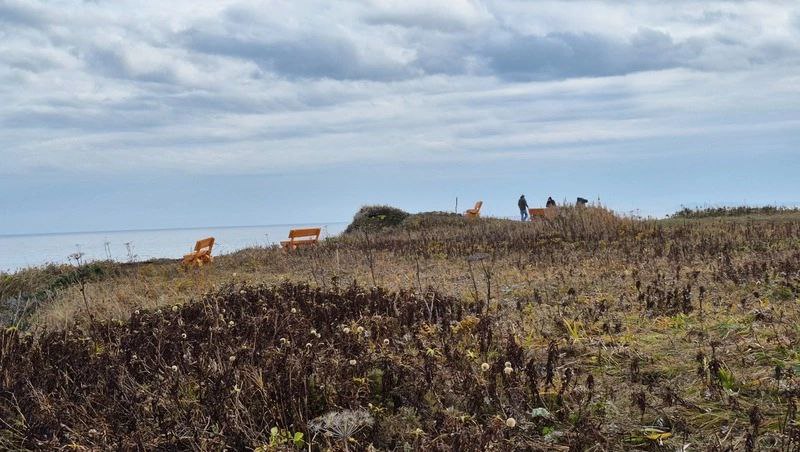 Подготовку к благоустройству начали на мысе Великан на Сахалине Подготовку к благоустройству начали на мысе Великан на Сахалине