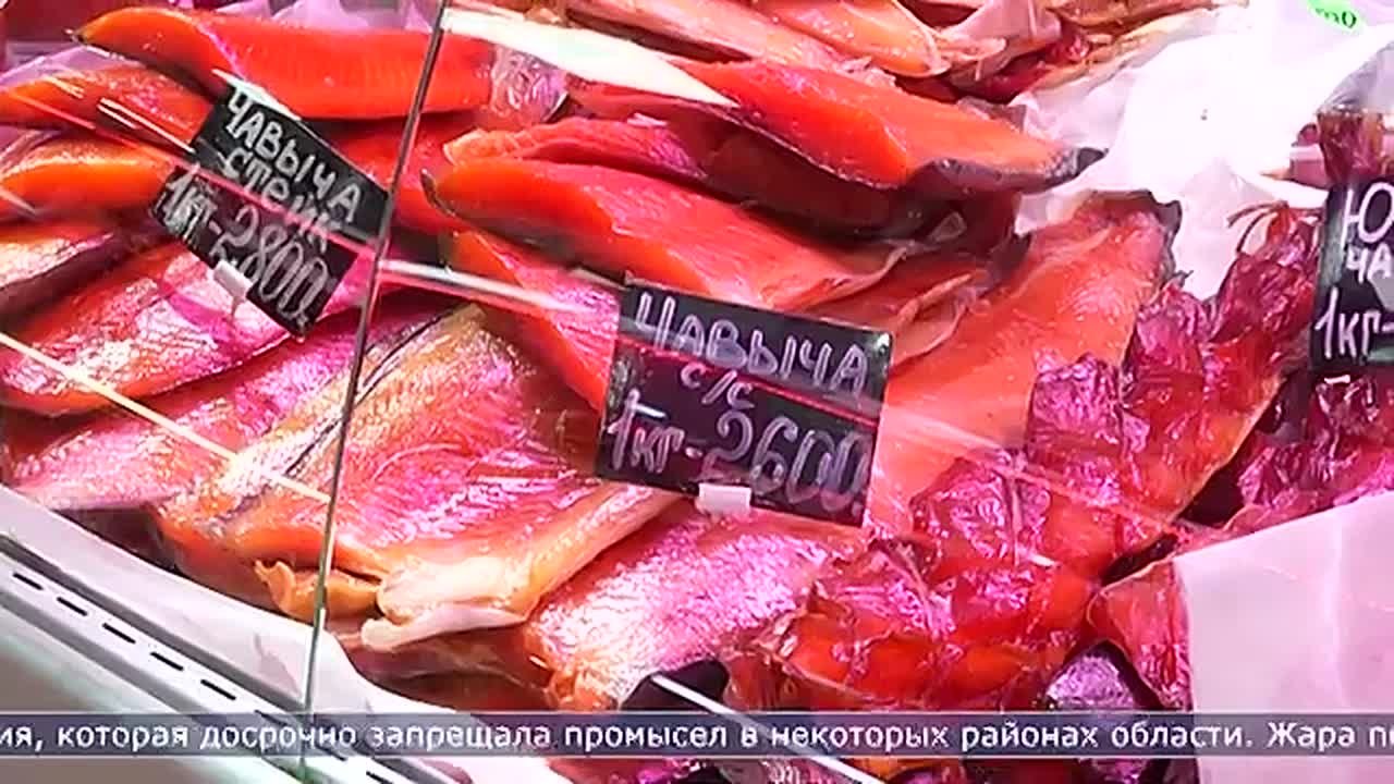 «Красная» путина вновь не удалась – сетуют в чатах сахалинцы