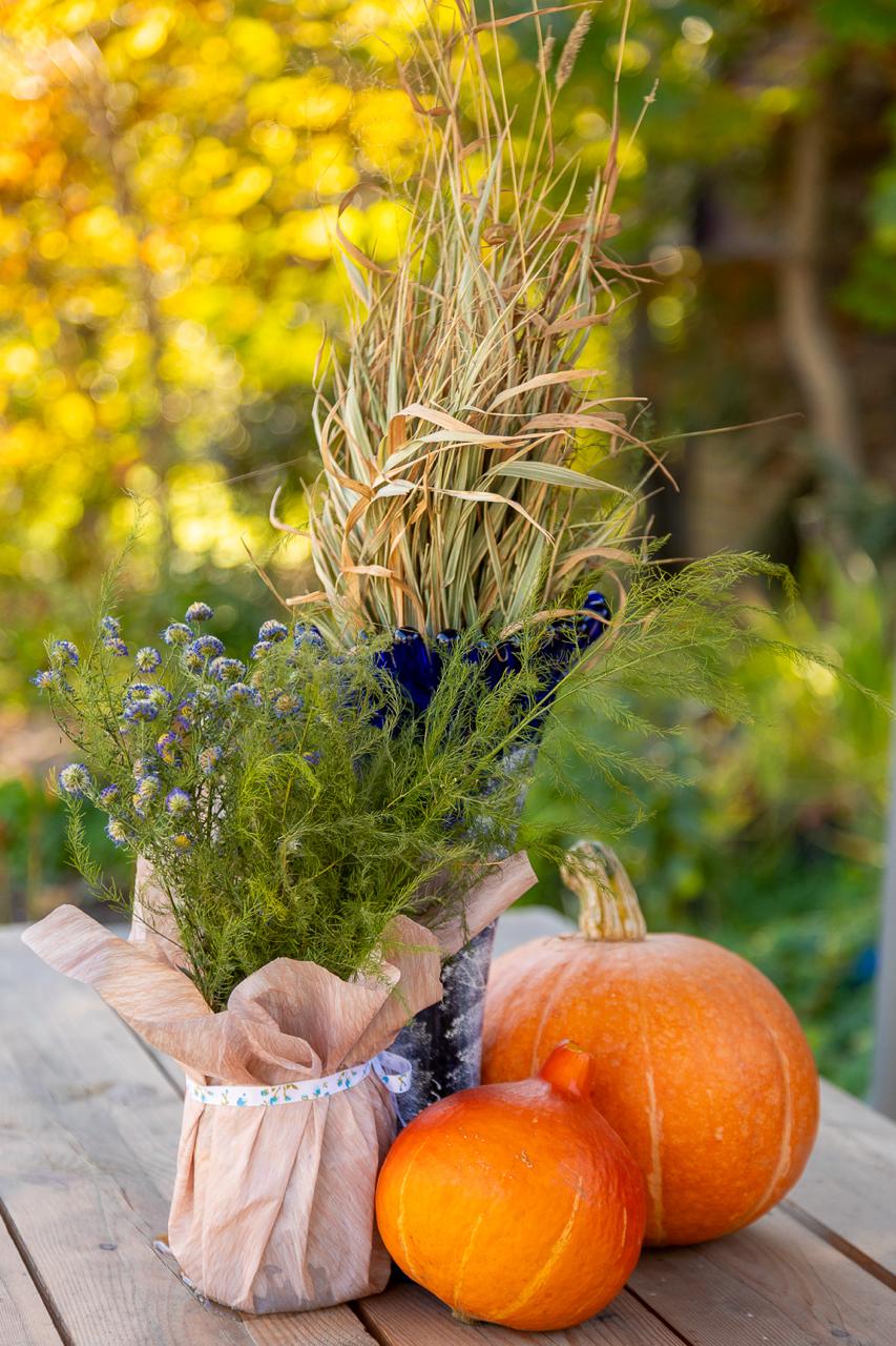 Завершайте октябрь в красках осени!