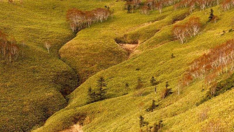 Подготовку к благоустройству начали на мысе Великан на Сахалине Подготовку к благоустройству начали на мысе Великан на Сахалине