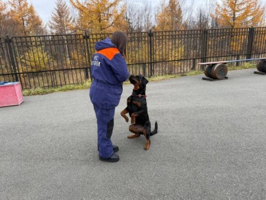 Найти человека в лесу всего за 20 минут предстоит собаке поисково-спасательного отряда им. Полякова