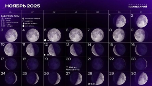 Звёздное небо ноября 2025 года: Суперлуна и яркий метеорный поток Леонид