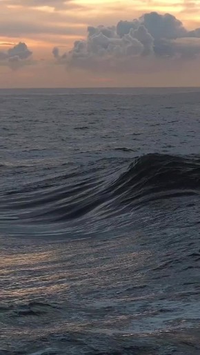  !.             (1755  1793),         (1902  1974),   ...