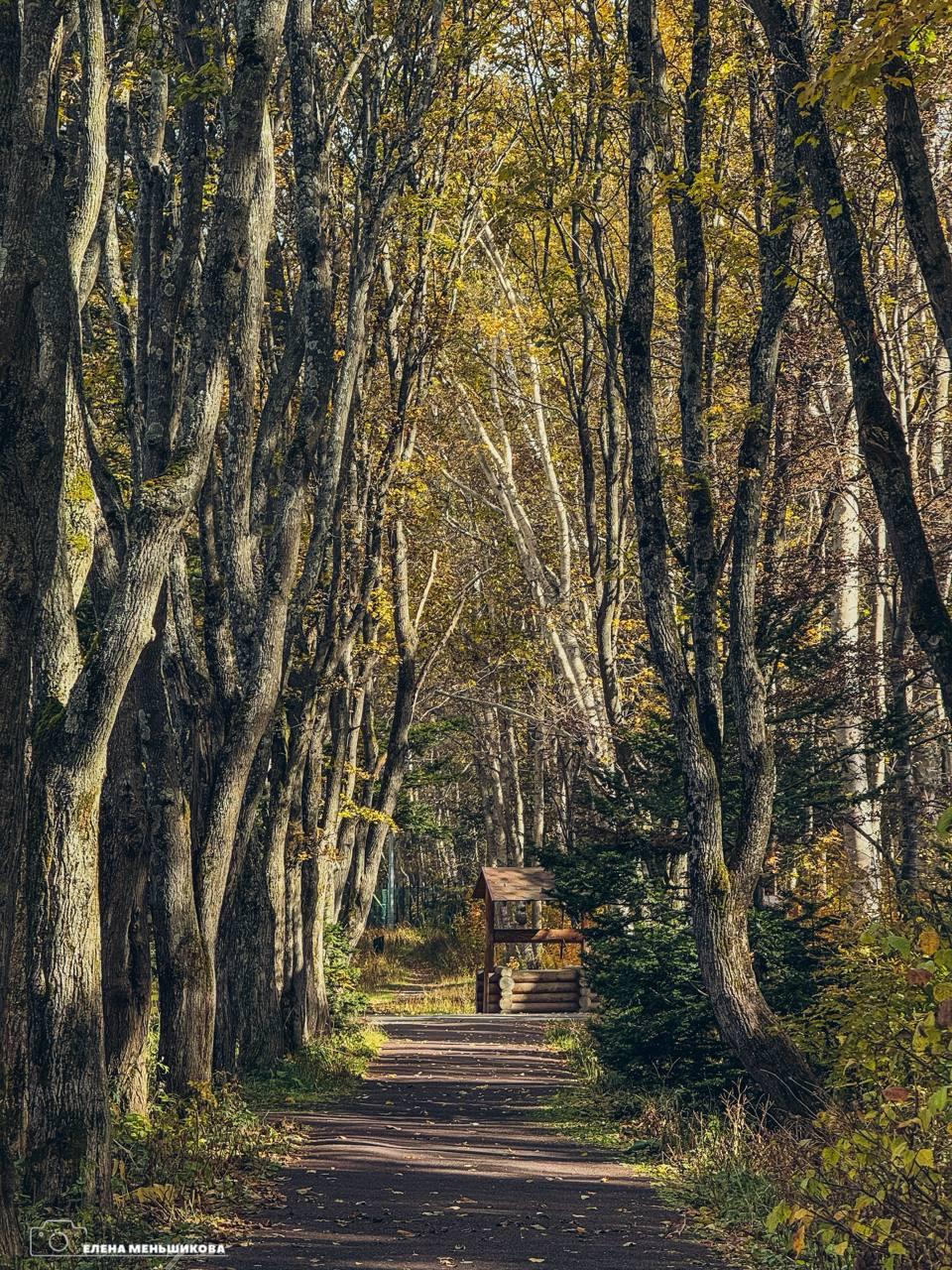 Выходные в ритме Южного. Золотая осень раскрасила наш город в самые тёплые оттенки! Самое время отправиться на прогулку и наполниться её красотой Выходные в ритме Южного. Золотая осень раскрасила наш город в самые тёплые оттенки! Самое время отправиться на прогулку и наполниться её красотой