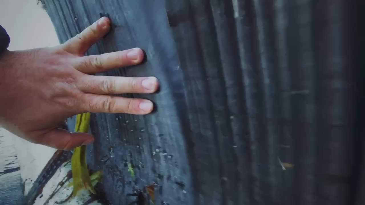 В Макаровском районе на берег выбросило финвала