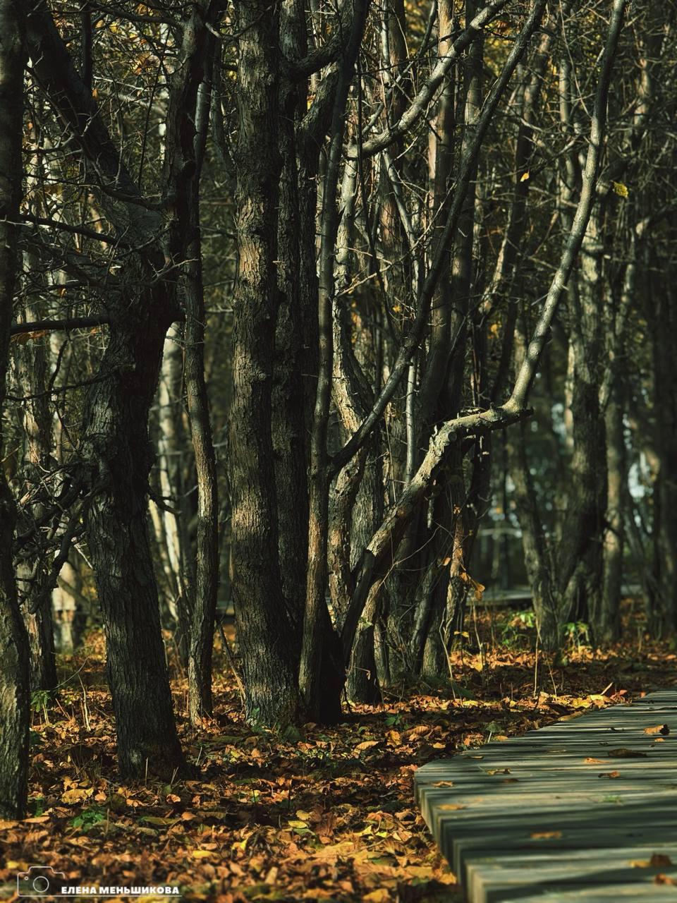 Выходные в ритме Южного. Золотая осень раскрасила наш город в самые тёплые оттенки! Самое время отправиться на прогулку и наполниться её красотой
