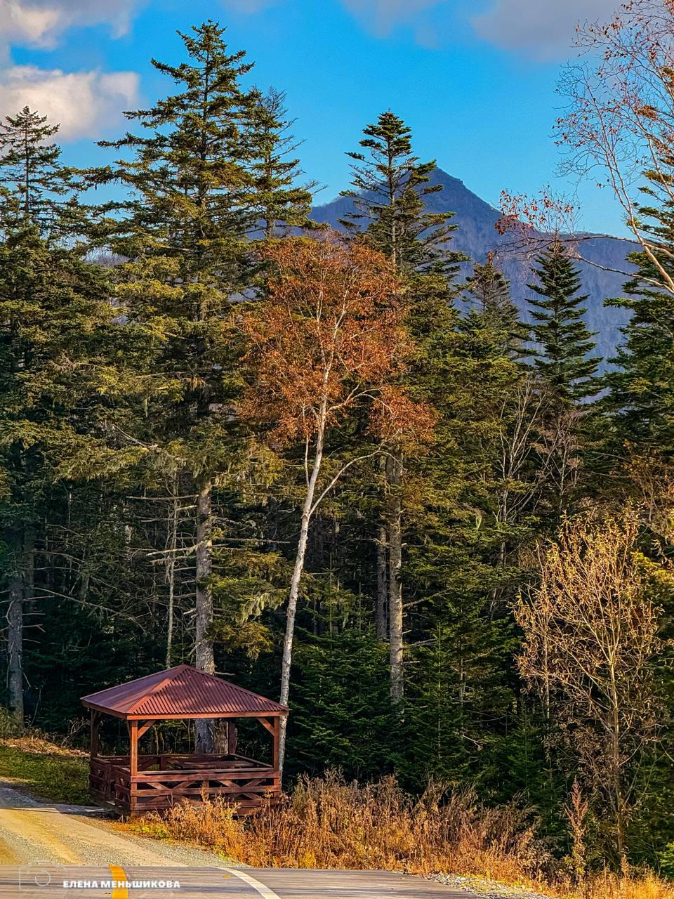Выходные в ритме Южного. Золотая осень раскрасила наш город в самые тёплые оттенки! Самое время отправиться на прогулку и наполниться её красотой Выходные в ритме Южного. Золотая осень раскрасила наш город в самые тёплые оттенки! Самое время отправиться на прогулку и наполниться её красотой