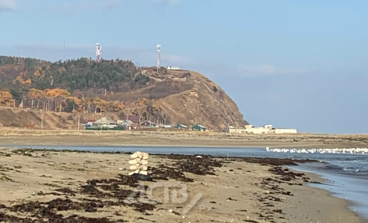 Останки гигантского морского животного обнаружили сахалинцы