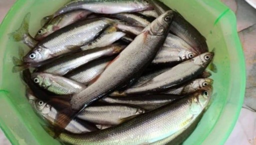 Сахалинские рыбаки уже начали выходить на лед