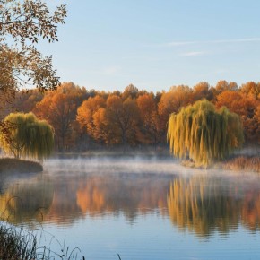 Новые горизонты трудовых отношений: что ожидает работников в 2026 году?